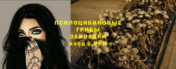 кристаллы Болотное