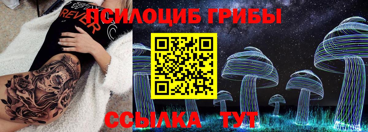 Псилоцибиновые грибы Cubensis  Вход с VPN  как найти   Черногорск 